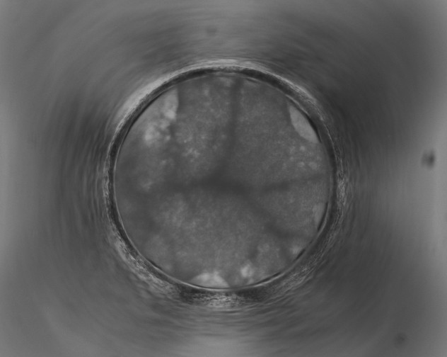 X0000116001279200912101308