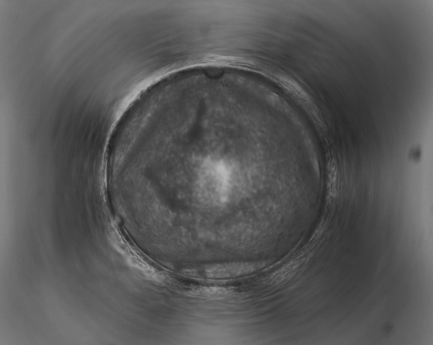 X0000116001280200912101308