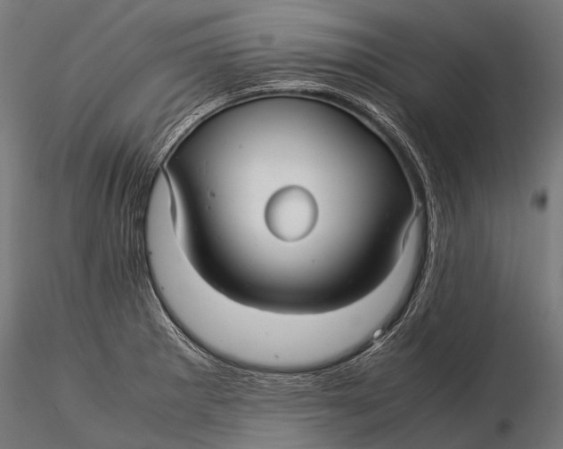 X0000116001281200912101308