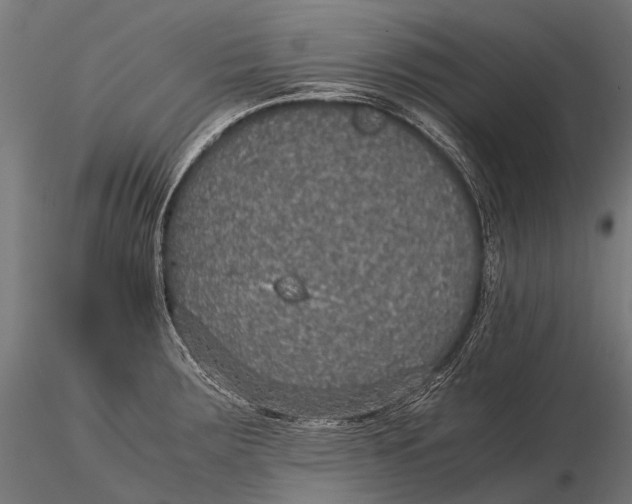 X0000116001283200912101308