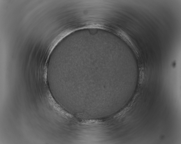 X0000116001284200912101308