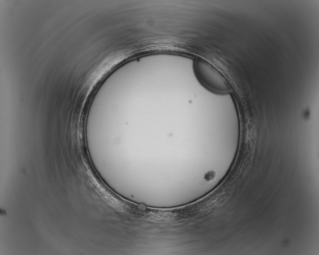 X0000116001285200912101308