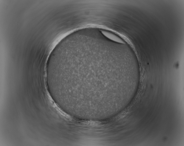 X0000116001287200912101308