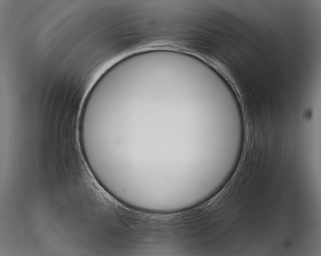 X0000116001288200912101308