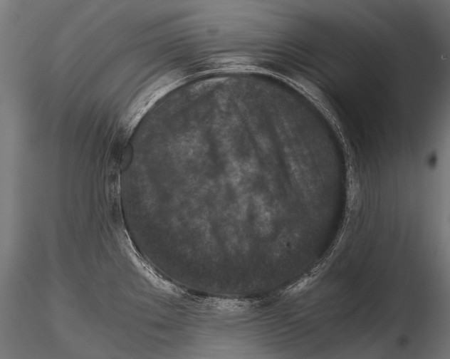 X0000116001289200912101308