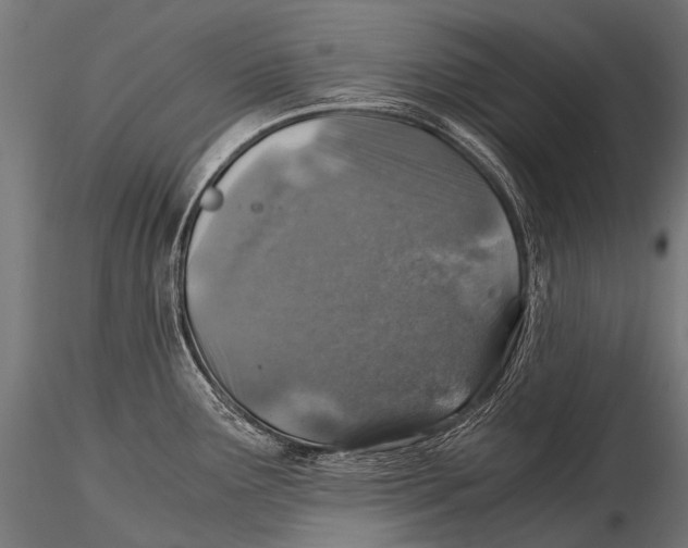 X0000116001291200912101308