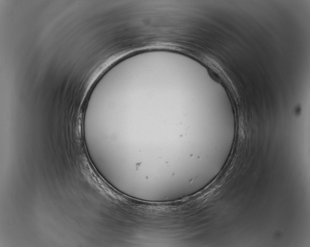 X0000116001292200912101308