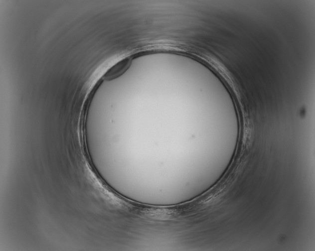 X0000116001293200912101308