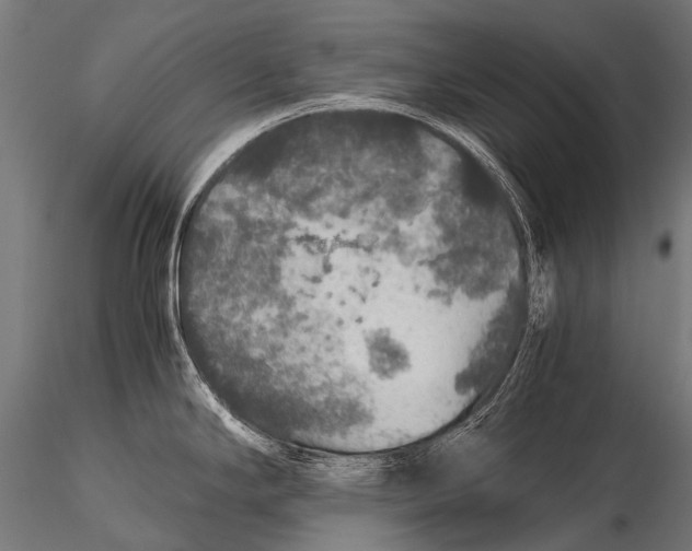 X0000116001294200912101308