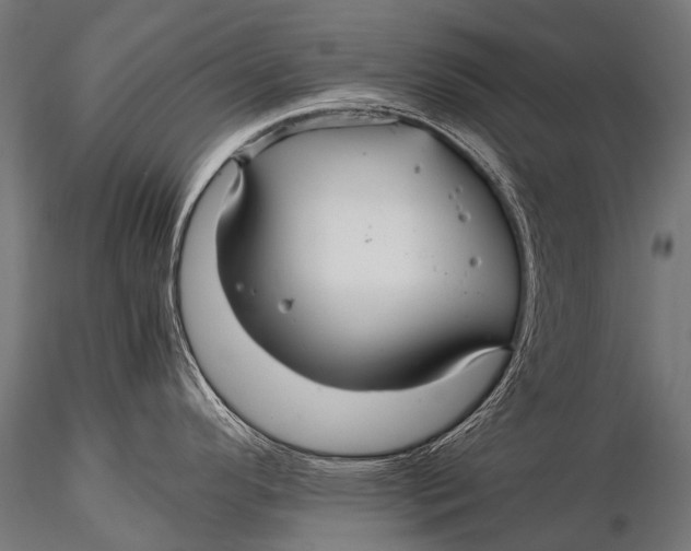 X0000116001296200912101308