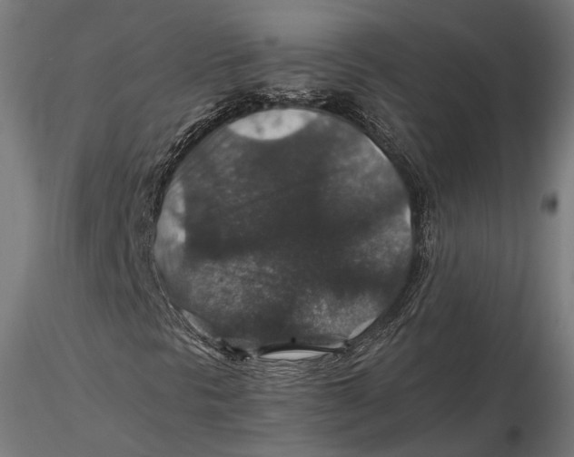 X0000116001297200912101307