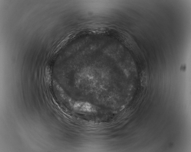 X0000116001298200912101307