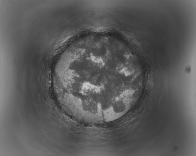 X0000116001301200912101307