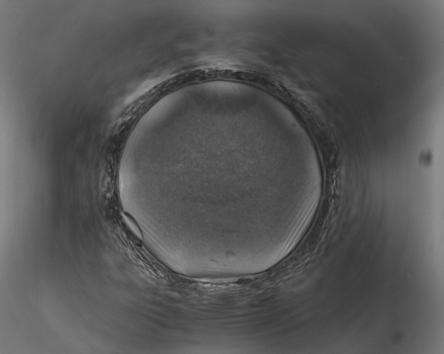 X0000116001303200912101307