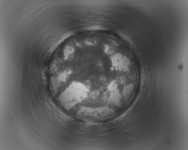 X0000116001305200912101307