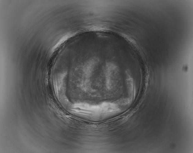 X0000116001306200912101307