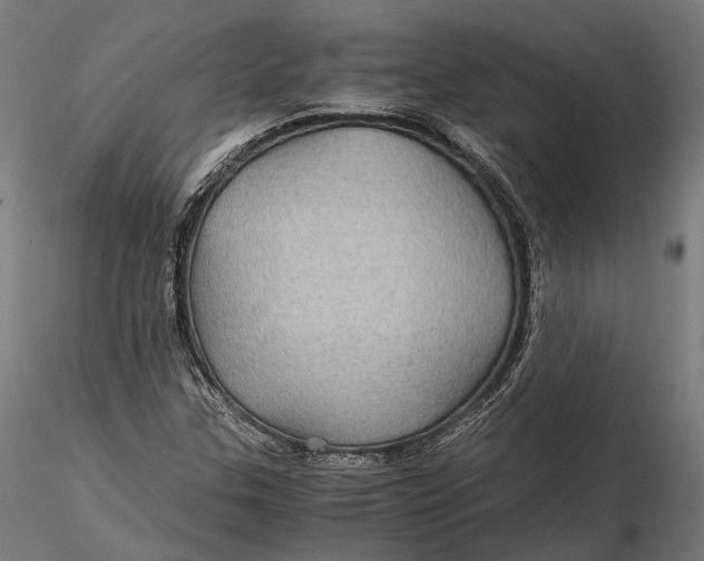 X0000116001307200912101307