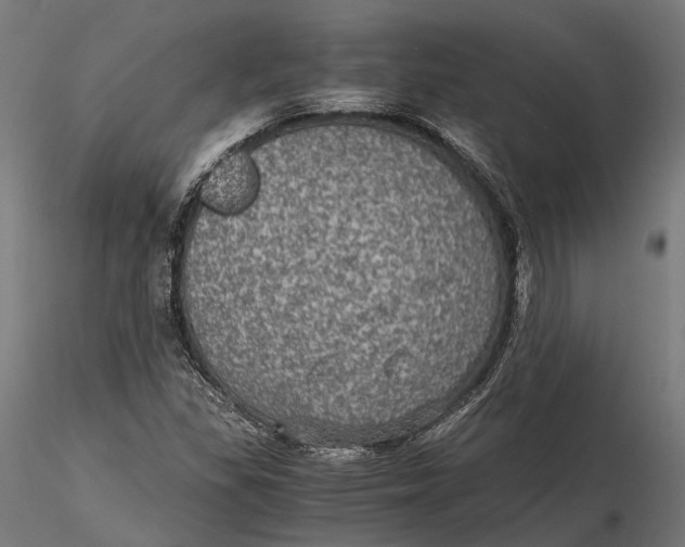 X0000116001309200912101307