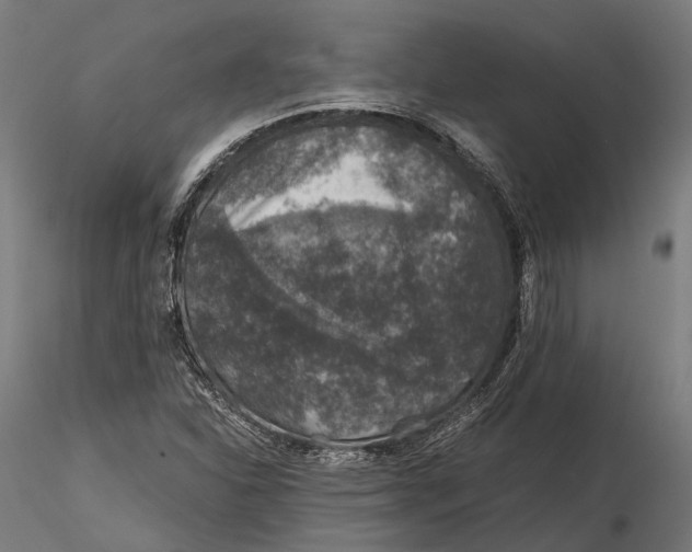 X0000116001310200912101307