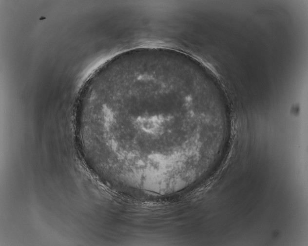 X0000116001311200912101307