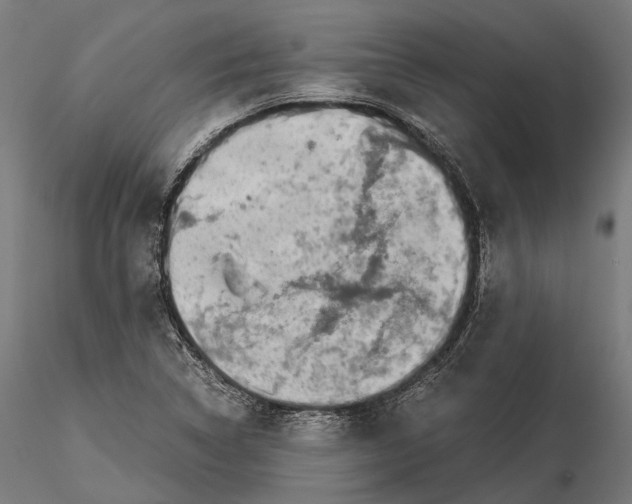 X0000116001314200912101307