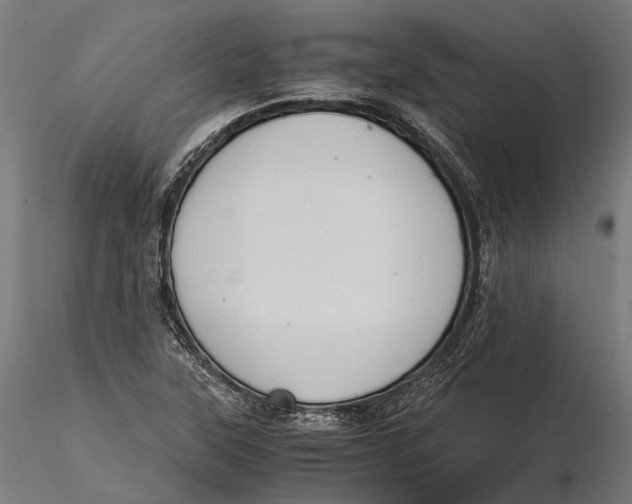 X0000116001315200912101307