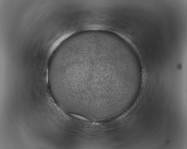 X0000116001317200912101307