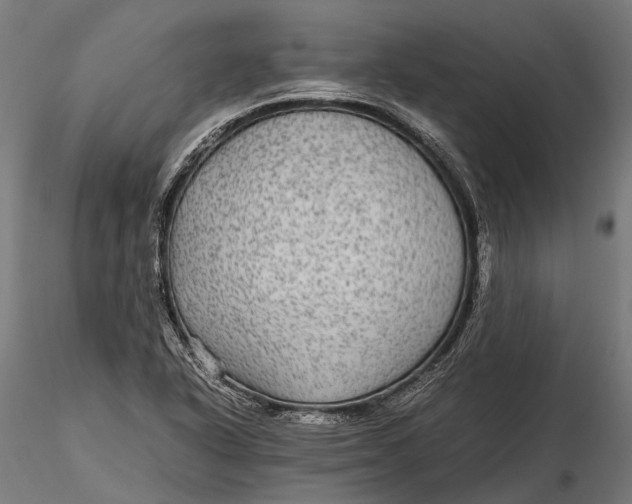 X0000116001318200912101307