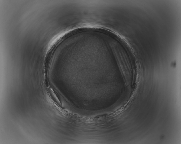 X0000116001319200912101307