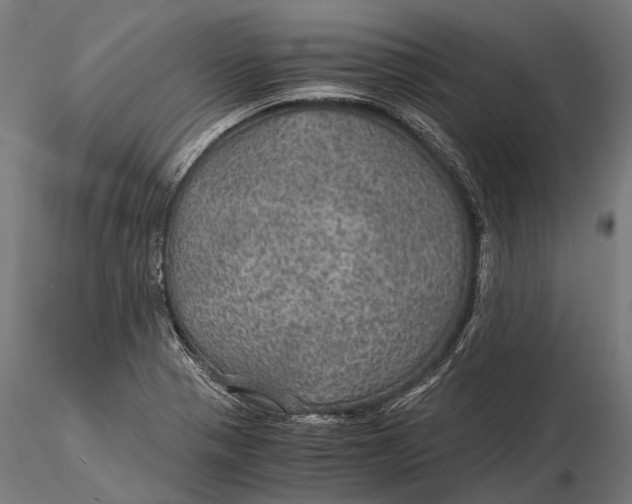 X0000116001321200912101308