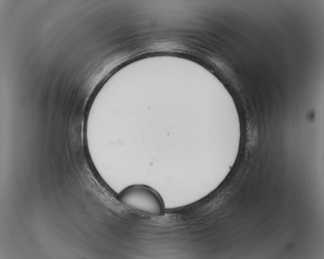 X0000116001322200912101308