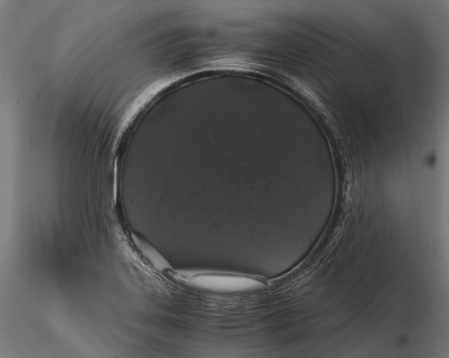 X0000116001323200912101308