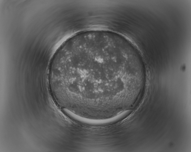 X0000116001325200912101308