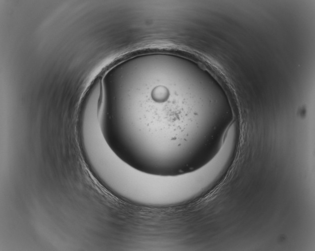 X0000116001326200912101308