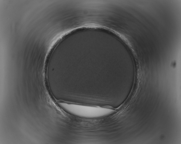 X0000116001327200912101308