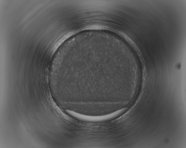 X0000116001329200912101308