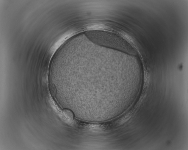 X0000116001330200912101308