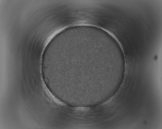 X0000116001333200912101308