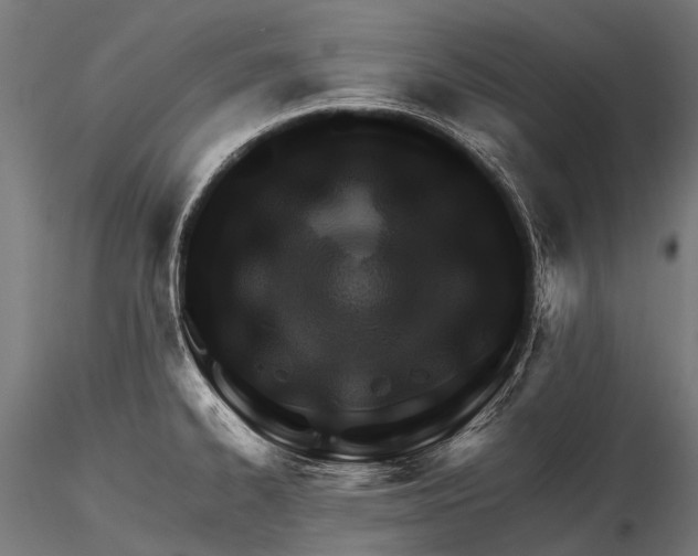 X0000116001334200912101308