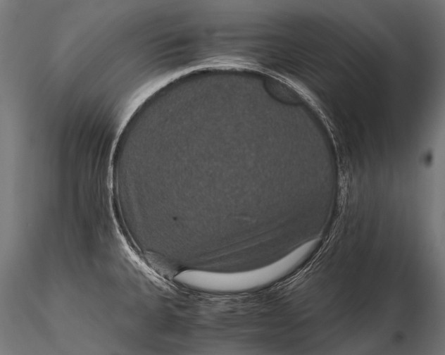 X0000116001335200912101308