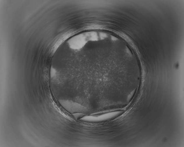 X0000116001337200912101308