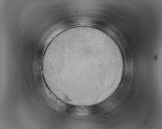 X0000116001338200912101308