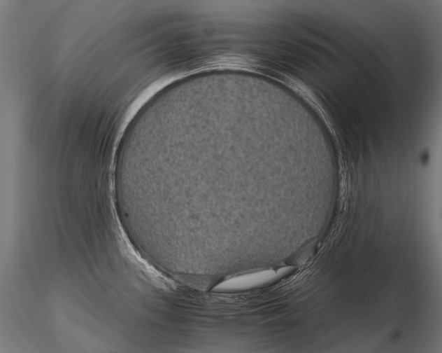 X0000116001339200912101308