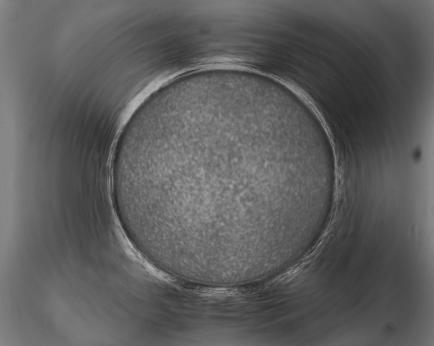 X0000116001341200912101308