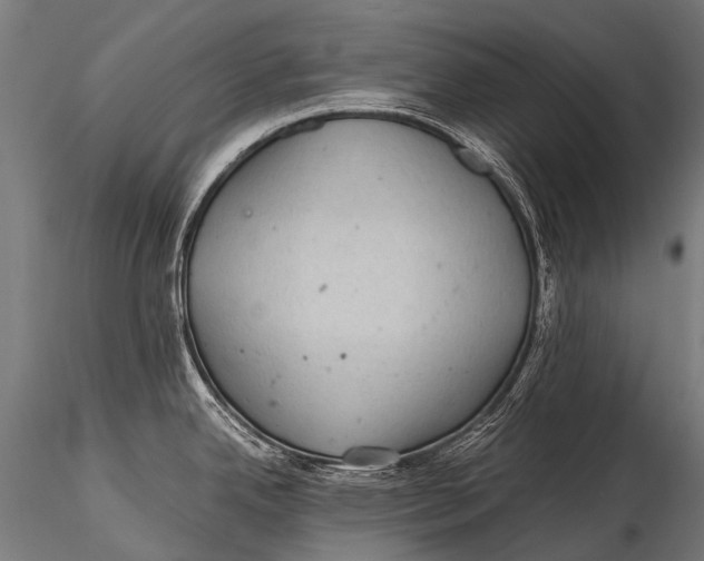 X0000116001342200912101308