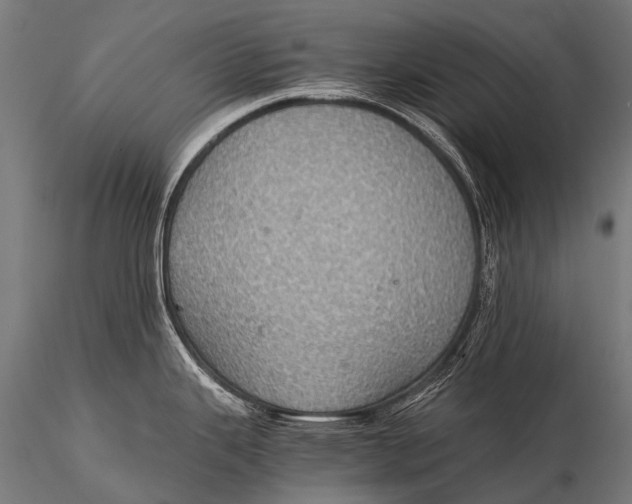 X0000116001343200912101308