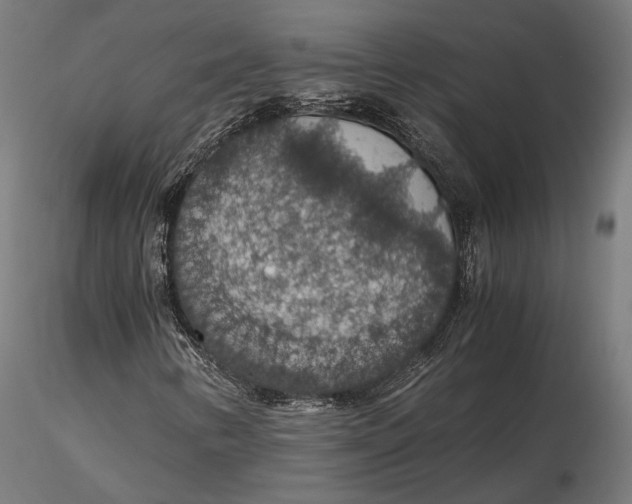 X0000116001346200912101307