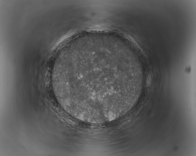 X0000116001350200912101307