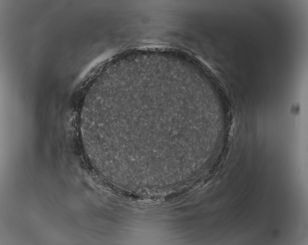 X0000116001351200912101307