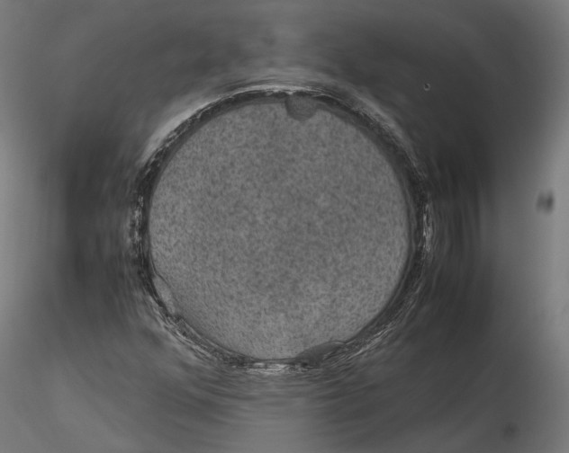 X0000116001352200912101307